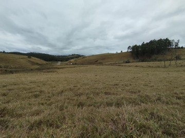 Fazenda - Venda - / - Guaratinguet - SP