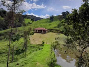 Stio - Venda - Centro - Delfim Moreira - MG