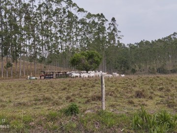 Fazenda - Venda - Rural - Guaratinguet - SP