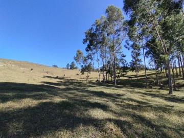 Stio - Venda - Catioquinha - Cunha - SP