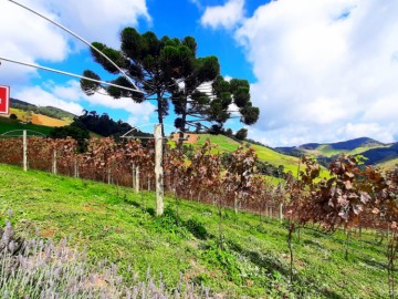 Chcara - Venda - / - Cristina - MG