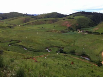 Fazenda - Venda - Entrecosto - Silveiras - SP